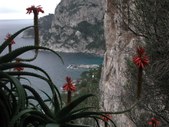 Enlarge photo 35