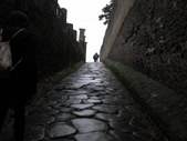 Enlarge photo 41
