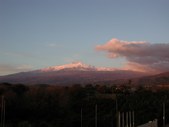 Enlarge photo 78