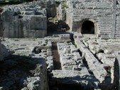 Enlarge photo 81