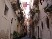 Enlarge photo 83