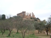 Enlarge photo 93