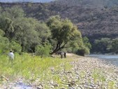 Enlarge photo 20