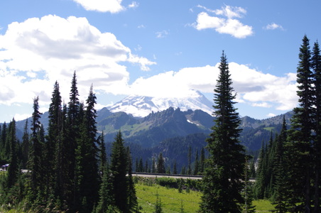 Mount Rainier