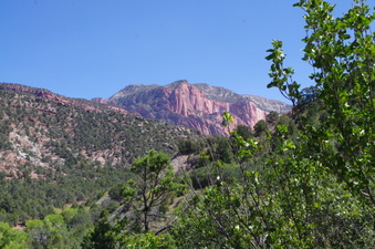 Zion National Park