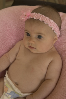 Introducing the Warman family