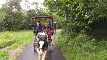 Killarney jaunting ride