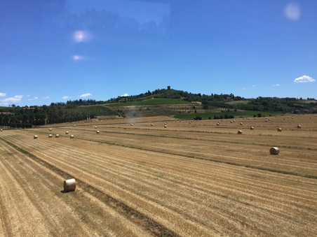 Sue's European Pics 18