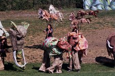 Enlarge photo 14