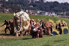Enlarge photo 8