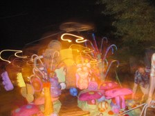Enlarge photo 77