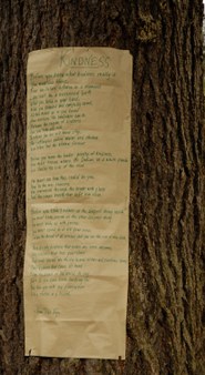 Gravity of Kindness 2007