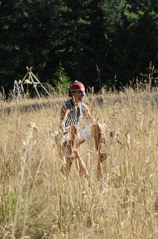 Enlarge photo 31