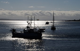 Enlarge photo 95