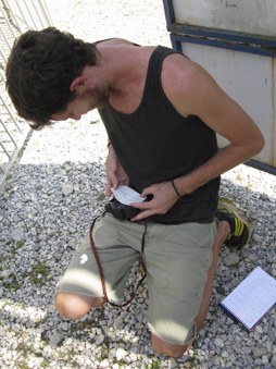 Enlarge photo 9