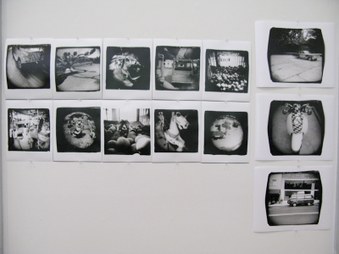 Enlarge photo 23