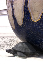 Enlarge photo 4