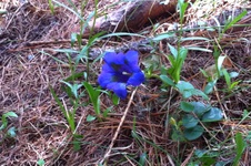 Enlarge photo 11