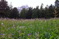 Enlarge photo 10