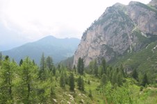 Enlarge photo 38