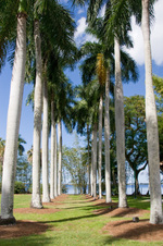 Enlarge photo 69