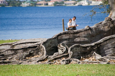 Enlarge photo 71
