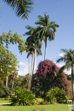Enlarge photo 79