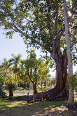 Enlarge photo 83