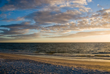 Enlarge photo 133