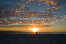Enlarge photo 134