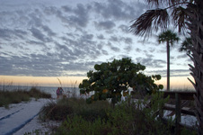 Enlarge photo 138