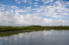 Enlarge photo 152