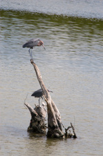 Enlarge photo 153