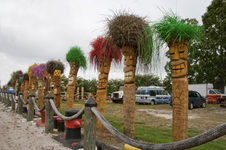 Enlarge photo 156