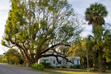 Enlarge photo 181