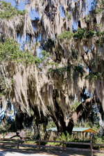 Enlarge photo 187