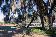 Enlarge photo 188