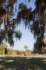 Enlarge photo 189
