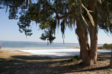 Enlarge photo 192