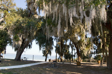 Enlarge photo 193