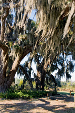 Enlarge photo 196