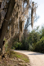 Enlarge photo 198