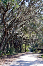 Enlarge photo 199