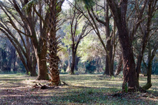 Enlarge photo 200