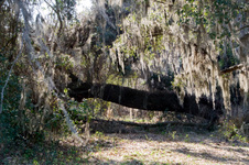 Enlarge photo 202