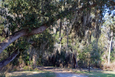 Enlarge photo 203