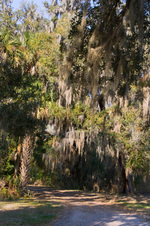 Enlarge photo 204