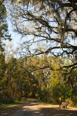 Enlarge photo 205