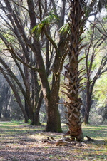 Enlarge photo 206