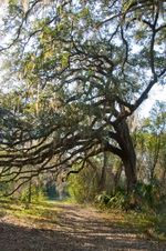 Enlarge photo 208